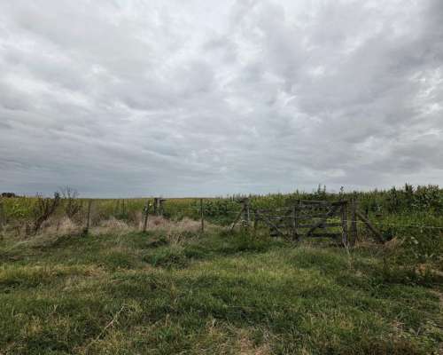 350 Hectareas Bolivar Venta