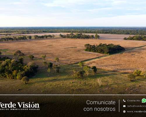 538 Has en Venta - Pcia del Chaco, Tres Isletas
