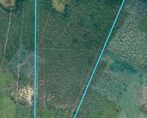 Remato Campo Ganadero de 309 Ha – Oportunidad Única