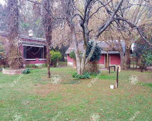 Campo 130 Has en Venta Chascomus.ideal Cria de Caballos