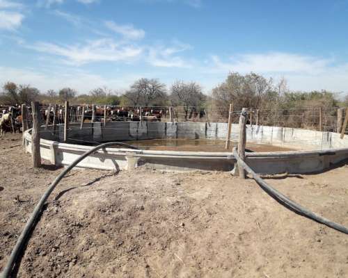 Campo Agricola/ganadero en Icaño S. del Estero C/riego