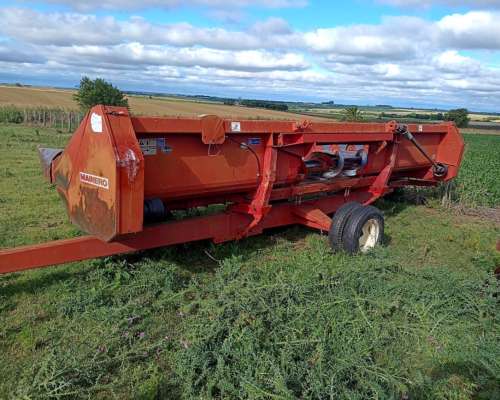 Maicero Mainero 2000 de 11 a 52