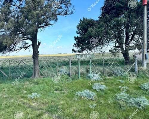 Campo en Venta de 667 Has en Gonzales Chaves