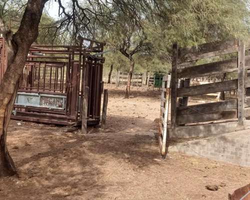 Milagro (LA Rioja) 6.000 Has Ganaderas .