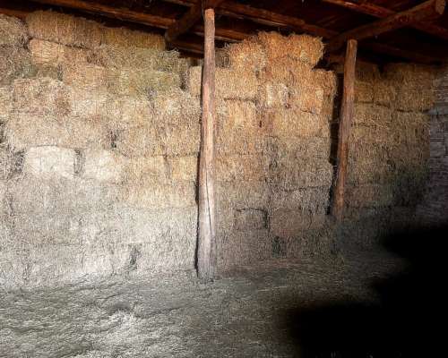 Vendo 71 Hcts, Alfalfa. con Maquinaria Completa Incluida