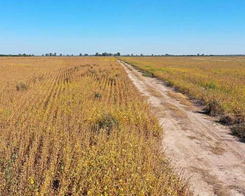 Pcia. de Santa FE - Colonia Raquel 103 Has