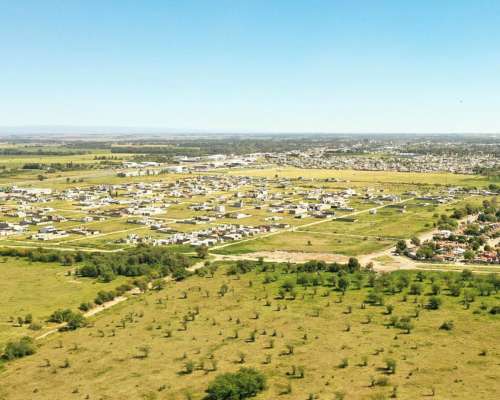 Río Cuarto, Córdoba - 25 Ha