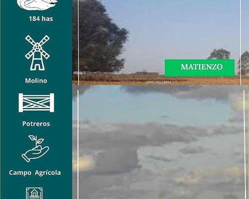 Campo en Matienzo 184 Has