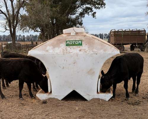 Comedero Autoconsumo 4.500 Kg Rotor
