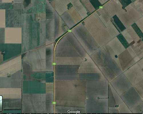 Oliva, Venta Campo +