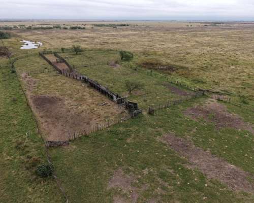 878 HA. Ganadero, Cria. Depto, San Martin (santa FE)