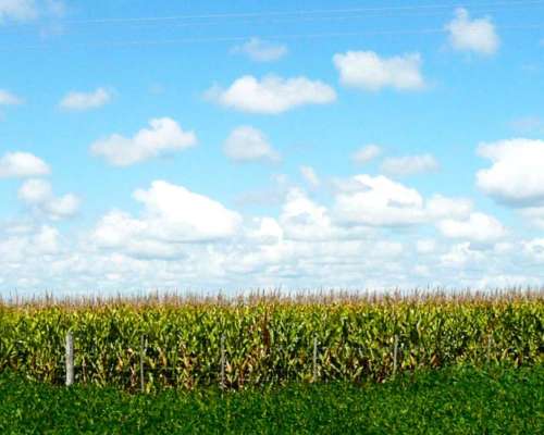 Campo 92 Hectareas Madariaga