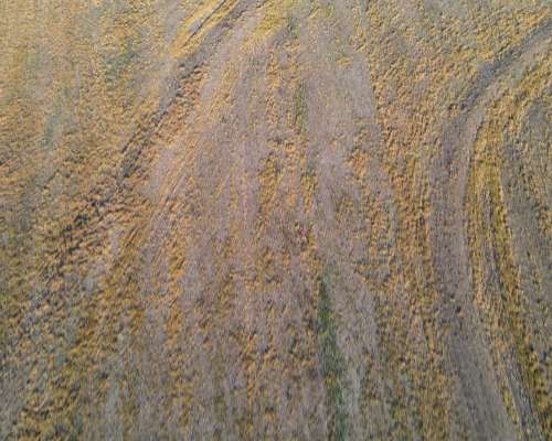 250 Hectáreas de Campo Agrícola en Gualeguaychú, Sobre Ripio
