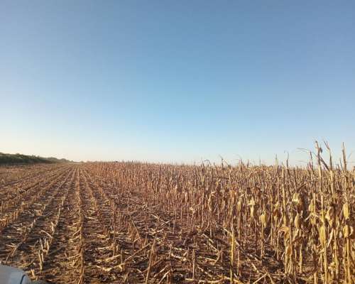 450 Ha en Venta Norte de Córdoba
