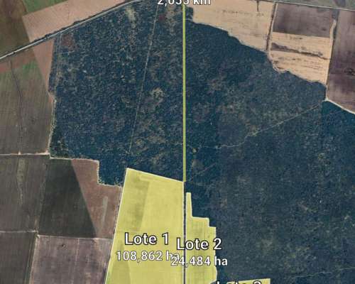 Se Alquila Campo para Siembra