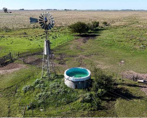Vieytes (BS As): 200 Ha en Alquiler