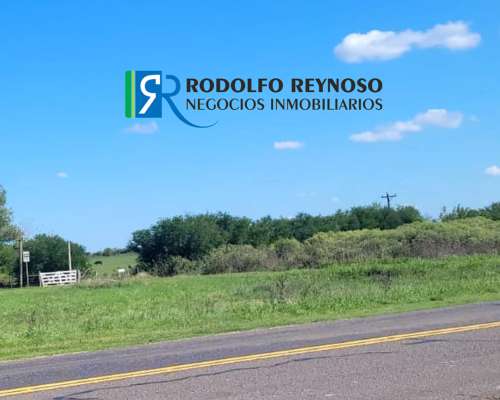 7 HA. en Gualeguaychú - Sobre Ruta 20