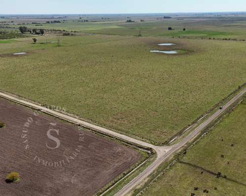 Venta Campo Mixto. 64 HA. la Criolla, Santa FE.