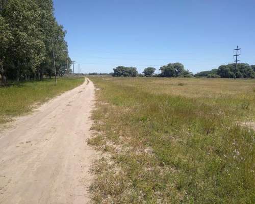 Campo Venta Villa Gesell 600 Ha Mixto
