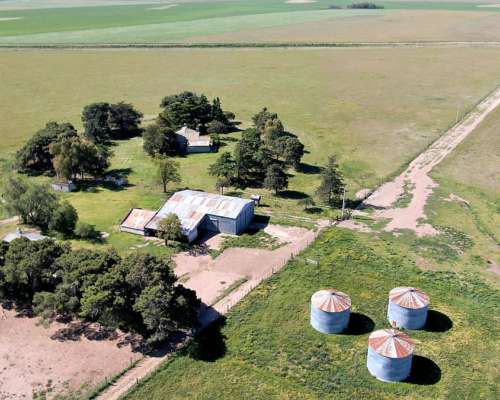 500 Has en Saavedra - BS. AS. - Agrícola - Venta