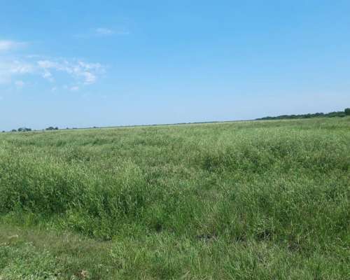 Campo Agricultura en Alquiler