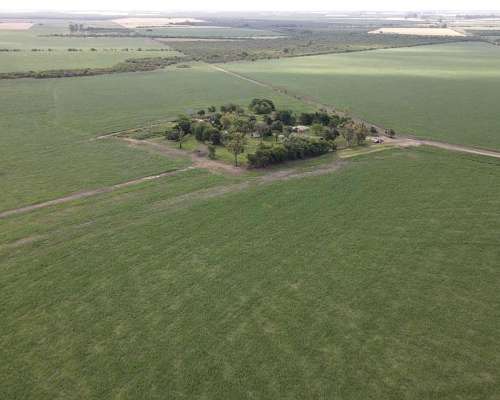 525 Hectáreas Agrícolas Sobre Ruta, San Marcial.