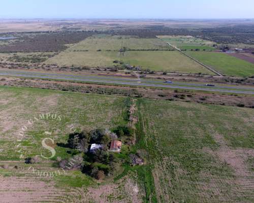 Campo Mixto. 64 Has. Coronda, Santa FE