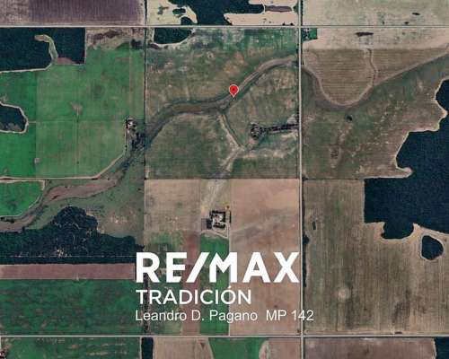 Campo Agricola en Venta - 100has Colonia J.marmol