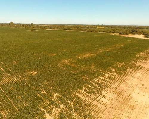 Vendo 95 Ha en Jesus Maria