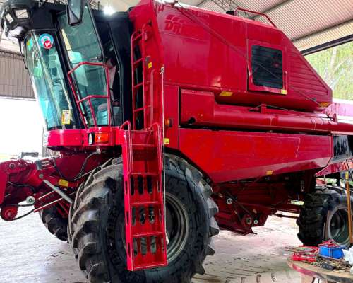 Don Roque 150 Electro 2020