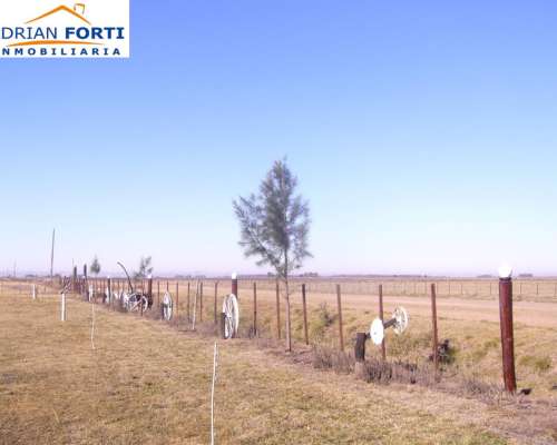 275 Has Gral. Alvear