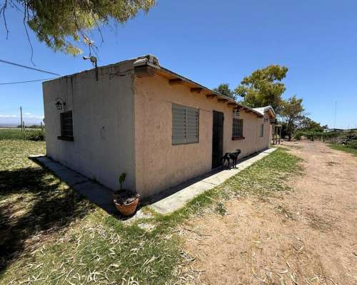 Finca de 13ha el Carrizal Pozo y Goteo