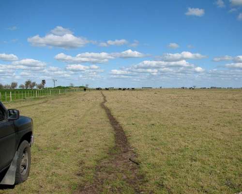 Udaquiola - 405 Ha - Buenos Aires