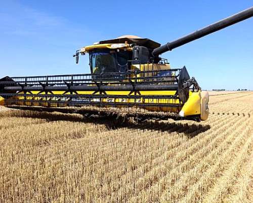 Cosechadora New Holland CR 5.85 Impecable