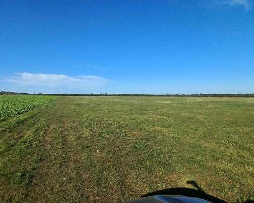 Campo Mixto 360 Hectareas