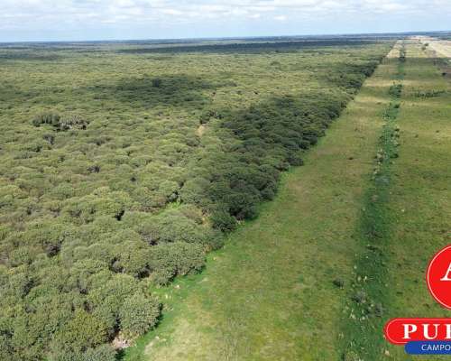 En Venta Campo Ganadero