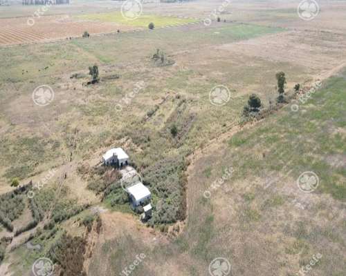 Campo en Venta 168 Has en Lobos . muy Buen Acceso