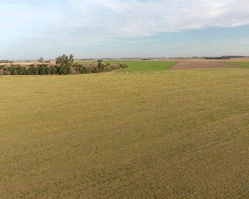 Santa Teresa - 178 Ha - Santa FE