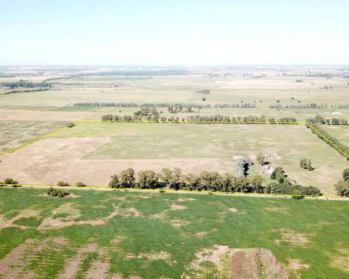 44 Has. Campo Agrícolo Ganadero en General Rodriguez