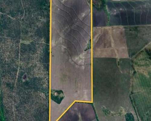 Venta. 60 Has Agrícolas en Rosario del Tala