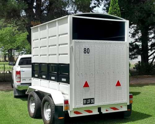 Carro para Dos Caballos