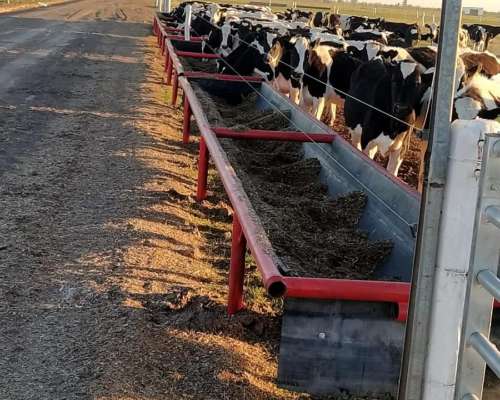 Comederos Móviles para Ganado