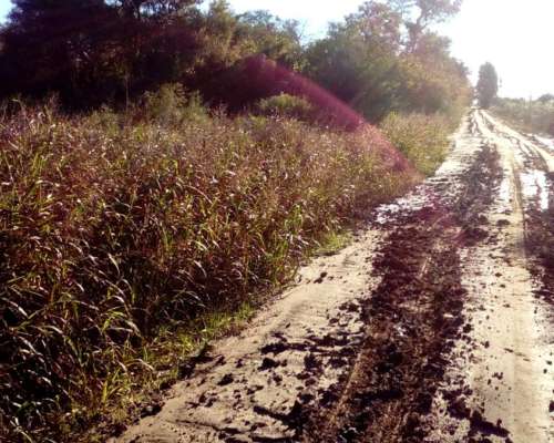 Vendo Lote de 30 Hectáreas Sobre RN 95 Sáenz Peña Chaco