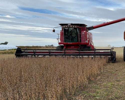 Cosechadora - Case IH 2388 - año 2004 - 4wd, Piloto, Monitor