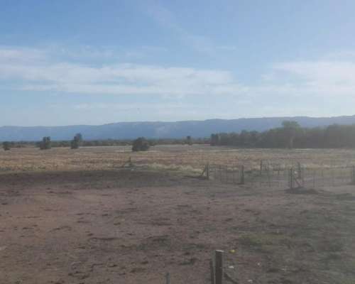 Papagayos - 1034 Ha - San Luis