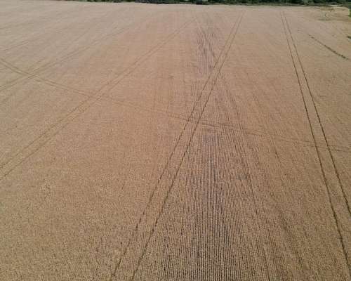 101 Hectáreas Agrícolas con Buen Acceso en Gualeguaychú.