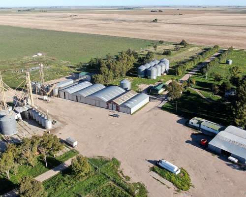 1520 Has Coronel Dorrego, Buenos Aires - Agrícola - Venta
