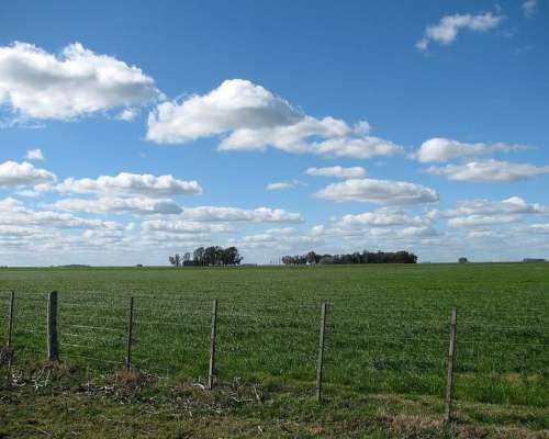 Udaquiola - 405 Ha - Buenos Aires