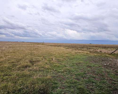 Campo Alquiler Pila 4400 Ha