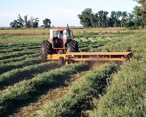 Segadora MAX 4004 - 4 Mts de Corte - Cardanica Alser Anca